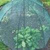 GardenSkill Pop N Crop Plant Umbrella -Garden Supplies Shop 8611105 01V tif