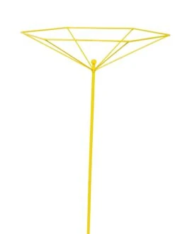 Parasol Plant Supports, Set Of 3 16 Parasol Plant Supports, Set Of 3 -Garden Supplies Shop 8611129 3844 tif