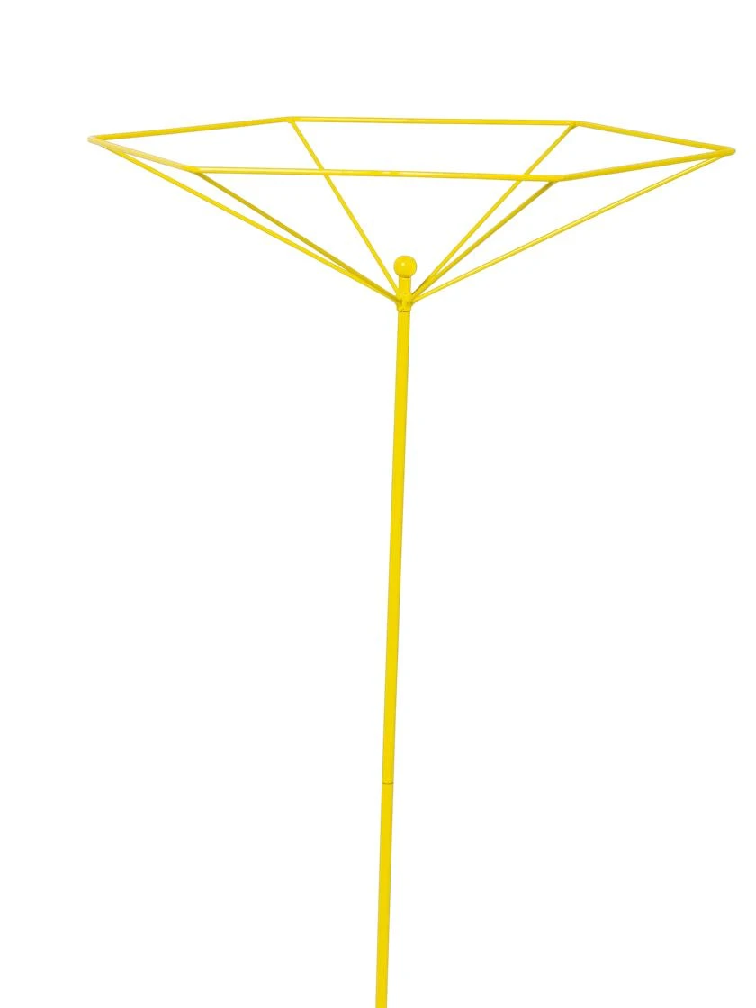Parasol Plant Supports, Set Of 3 8 Parasol Plant Supports, Set Of 3 - Image 6