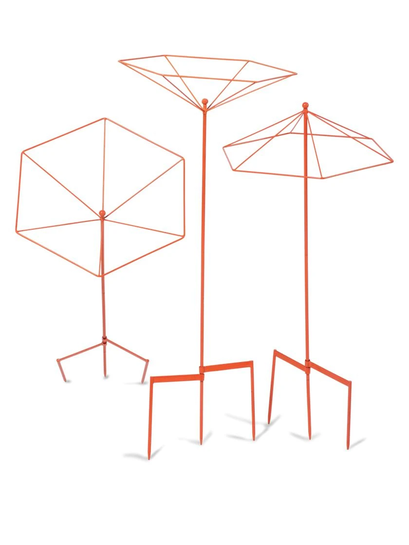 Parasol Plant Supports, Set Of 3 10 Parasol Plant Supports, Set Of 3 - Image 8