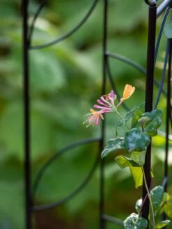 Gazebo Parts Direct Sales Store -Garden Supplies Shop 8611658 026 tif