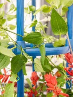 Fleur De Lis Obelisk, 67" 9 Fleur De Lis Obelisk, 67" -Garden Supplies Shop 8611663 0607 tif