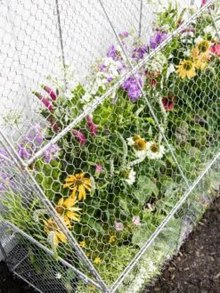 Chicken Wire Flat Back Crop Coop -Garden Supplies Shop 8611701 153 tif