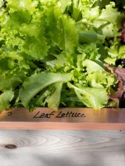 Re-Markable Raised Bed Trim -Garden Supplies Shop 8611757 326 tif