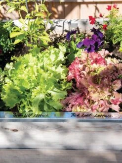 Re-Markable Raised Bed Trim -Garden Supplies Shop 8611758 306 tif