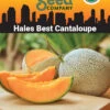 Hales Best Cantaloupe Organic Seeds -Garden Supplies Shop 8611872 02v hales best cantaloupe organic seeds