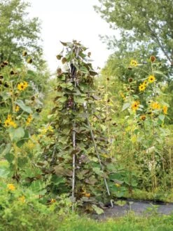 DIY Connector For Teepee Trellis -Garden Supplies Shop 8611896 062 tif