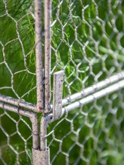 Chicken Wire Crop Coop Extension 12 Chicken Wire Crop Coop Extension -Garden Supplies Shop 8611940 232 tif