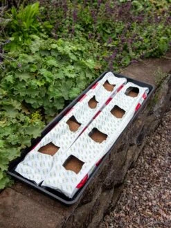 Berry Blend Coir Grow Bag, Set Of 2 -Garden Supplies Shop 8611968 361 tif