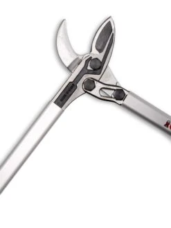 Castellari Long-Handled Anvil Lopper -Garden Supplies Shop 8611970 007 tif