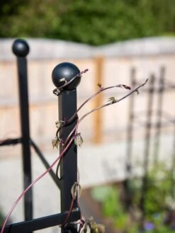 Essex Square Obelisk 12 Essex Square Obelisk -Garden Supplies Shop 8611984 278 tif