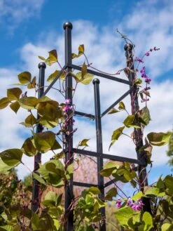 Essex Square Obelisk 10 Essex Square Obelisk -Garden Supplies Shop 8611984 354 tif