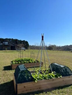 Insect And Pest Net Row Protector 11 Insect And Pest Net Row Protector -Garden Supplies Shop 8611985 04 tif