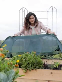 Insect And Pest Net Row Protector 13 Insect And Pest Net Row Protector -Garden Supplies Shop 8611985 8390 tif