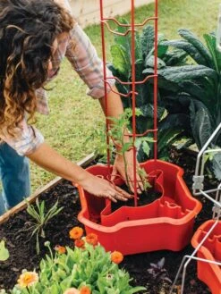 Deluxe Tomato Halos, Set Of 2 14 Deluxe Tomato Halos, Set Of 2 -Garden Supplies Shop 8612045 135 tif