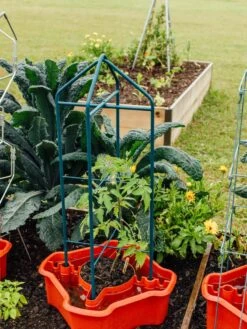 Deluxe Tomato Halos, Set Of 2 15 Deluxe Tomato Halos, Set Of 2 -Garden Supplies Shop 8612045 221 tif