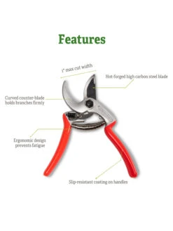 Castellari Mini Anvil Pruner 12 Castellari Mini Anvil Pruner -Garden Supplies Shop 8612199 5