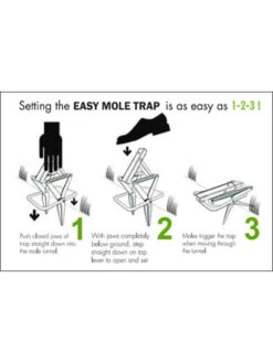 Easy Mole Trap 8 Easy Mole Trap -Garden Supplies Shop 8612557 04v 1