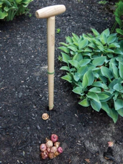 Wicked Big Dibber 10 Wicked Big Dibber -Garden Supplies Shop 8612667 0028