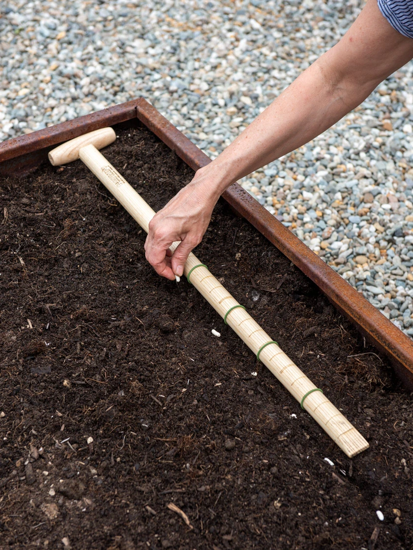 Wicked Big Dibber 7 Wicked Big Dibber - Image 5