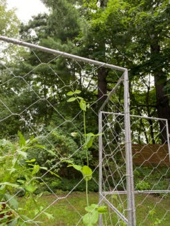 Chicken Wire Pea Trellis 20 Chicken Wire Pea Trellis -Garden Supplies Shop 8612718 7302