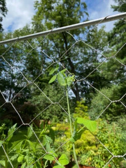 Chicken Wire Pea Trellis 19 Chicken Wire Pea Trellis -Garden Supplies Shop 8612718 7311