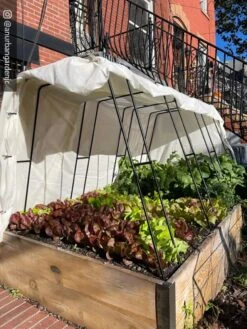 Cotton All Purpose Garden Cover 11 Cotton All Purpose Garden Cover -Garden Supplies Shop 8612816 01CUST