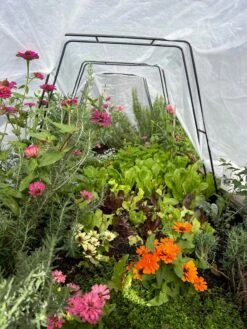 All-Purpose Garden Fabric 14 All-Purpose Garden Fabric -Garden Supplies Shop 8612816 01TEST