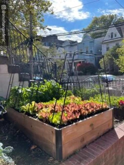 Zenith Garden Hoops, Set Of 4 -Garden Supplies Shop 8612816 02CUST