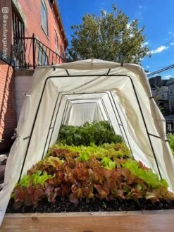 Cotton All Purpose Garden Cover 12 Cotton All Purpose Garden Cover -Garden Supplies Shop 8612816 03CUST