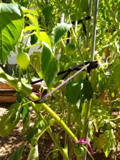 Farmyarn® Multipurpose Garden Tie, 2 Pack 16 Farmyarn® Multipurpose Garden Tie, 2 Pack -Garden Supplies Shop 8612948 02v