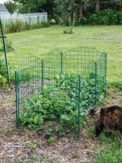 6 Panel Critter Fence With Gate 13 6 Panel Critter Fence With Gate -Garden Supplies Shop 8612967 2570 tif