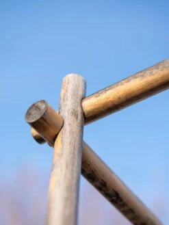 Bamboo Tomato Cages, Set Of 3 19 Bamboo Tomato Cages, Set Of 3 -Garden Supplies Shop 8613143 0385