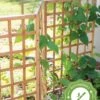 Bamboo Zig-Zag Trellis 24" X 36" -Garden Supplies Shop 8613151 15