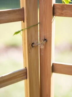 Bamboo Zig-Zag Trellis 24" X 36" 17 Bamboo Zig-Zag Trellis 24" X 36" -Garden Supplies Shop 8613151 6483