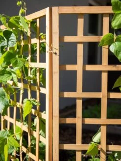Bamboo Zig-Zag Trellis 24" X 36" 18 Bamboo Zig-Zag Trellis 24" X 36" -Garden Supplies Shop 8613151 6491