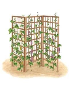 Bamboo Zig-Zag Trellis 24" X 36" 20 Bamboo Zig-Zag Trellis 24" X 36" -Garden Supplies Shop 8613151 art flat