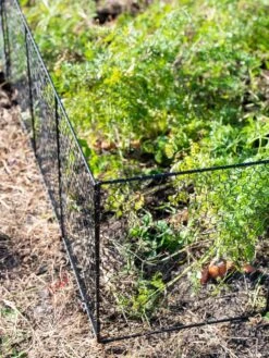 Chicken Wire Critter Fence, 16" High -Garden Supplies Shop 8613249 0309