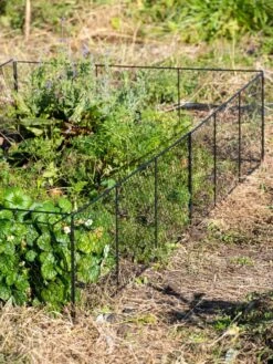 Chicken Wire Critter Fence, 16" High -Garden Supplies Shop 8613249 0336