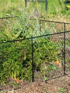 Chicken Wire Critter Fence, 16" High -Garden Supplies Shop 8613249 0352