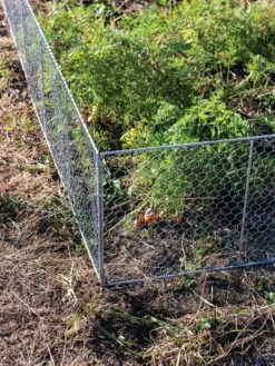 Chicken Wire Critter Fence, 16" High -Garden Supplies Shop 8613249 0358