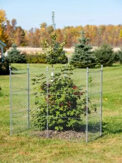 Tall Chicken Wire Critter Fence Extension Panel, Set Of 2 19 Tall Chicken Wire Critter Fence Extension Panel, Set Of 2 -Garden Supplies Shop 8613260 0030 1