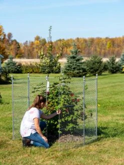 Tall Chicken Wire Critter Fence With Gate -Garden Supplies Shop 8613260 0044