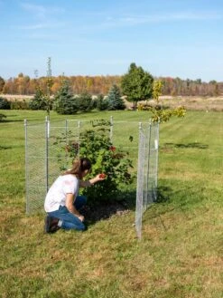 Tall Chicken Wire Critter Fence Extension Panel, Set Of 2 20 Tall Chicken Wire Critter Fence Extension Panel, Set Of 2 -Garden Supplies Shop 8613260 0090