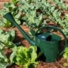 Long Reach Watering Can, Large 2 Long Reach Watering Can, Large -Garden Supplies Shop 8613346 0149