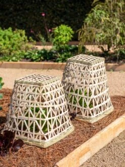 Bamboo Cloche, Set Of 2 14 Bamboo Cloche, Set Of 2 -Garden Supplies Shop 8613351 0150 bamboo cloche set of 2