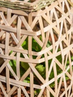 Bamboo Cloche, Set Of 2 19 Bamboo Cloche, Set Of 2 -Garden Supplies Shop 8613351 0153