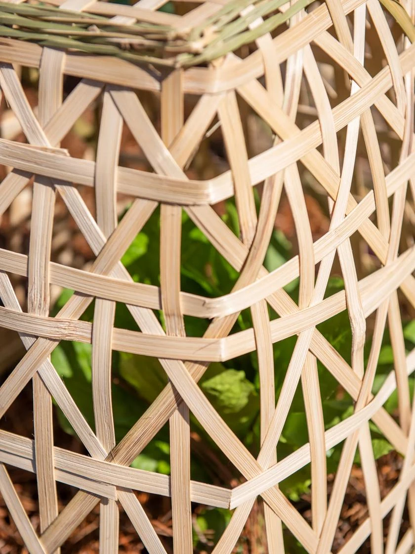 Bamboo Cloche, Set Of 2 10 Bamboo Cloche, Set Of 2 - Image 8