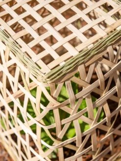 Bamboo Cloche, Set Of 2 18 Bamboo Cloche, Set Of 2 -Garden Supplies Shop 8613351 0154