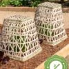 Bamboo Cloche, Set Of 2 -Garden Supplies Shop 8613351 12